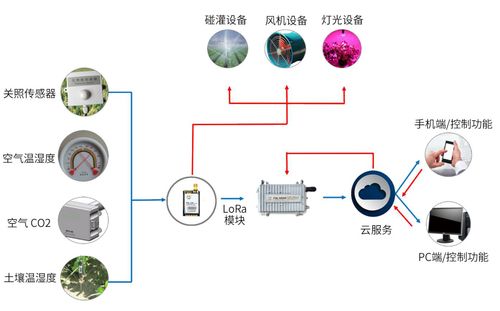 lora土壤温湿度监测,实现农业生长环境智能控制